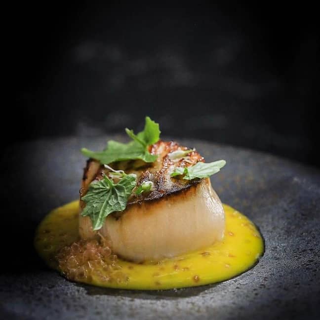 Lucky Cat's Orkney Scallop with yuzu and sweetcorn hot sauce, finger lime and wasabi leaves. Credit: Instagram