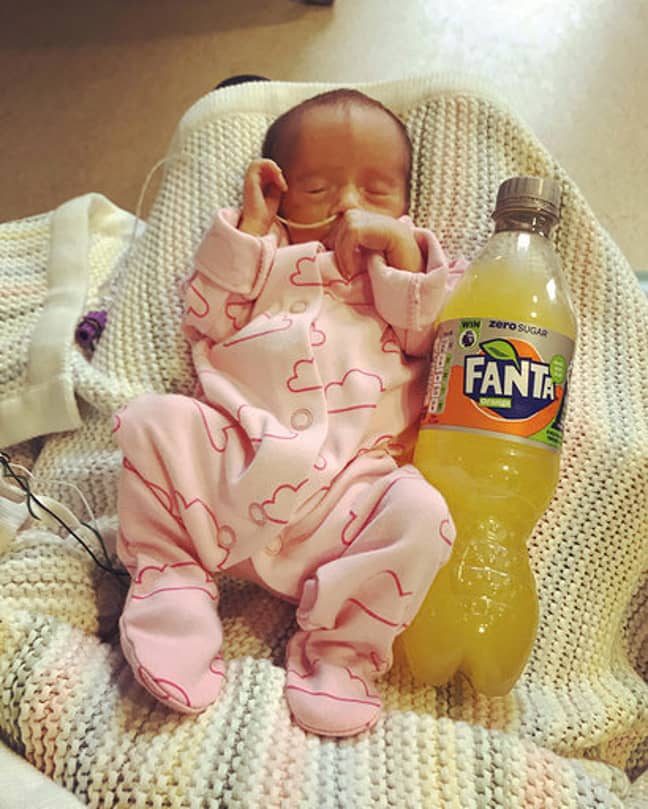 The twins were a similar size to a bottle of Fanta. Credit: Mercury Press 