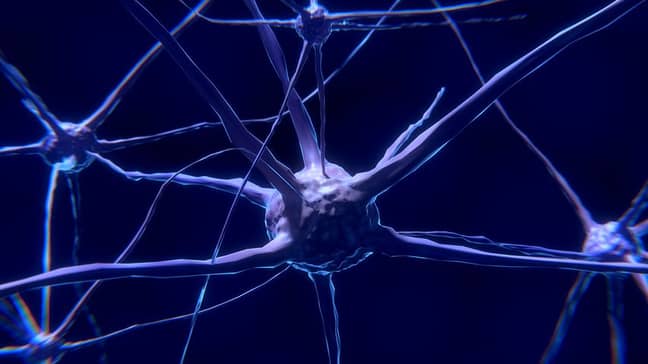 Nerve cells are monitored to identify patterns in the brain. Credit: Pexels