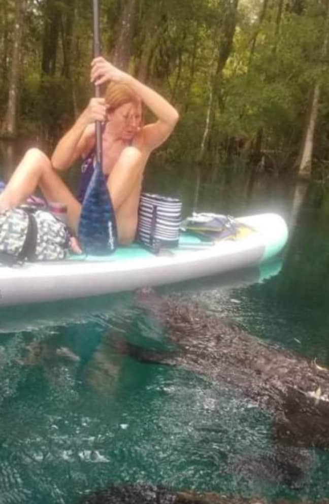 She claimed the gator tried to bite her board. Credit: Facebook/Vicky Reamy Baker
