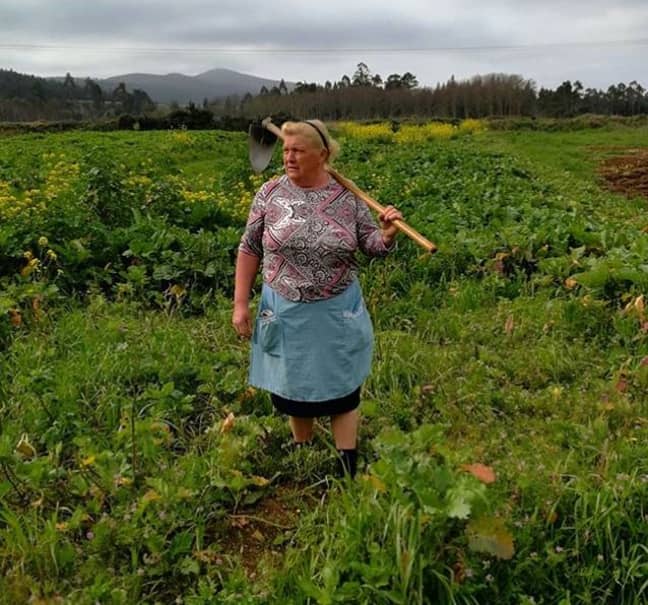 Donald Trump's lookalike is a Spanish potato farmer. Credit: Instagram/trintadenovembro