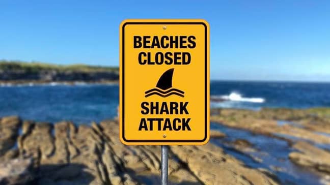 Shark Attack Sign Little Bay
