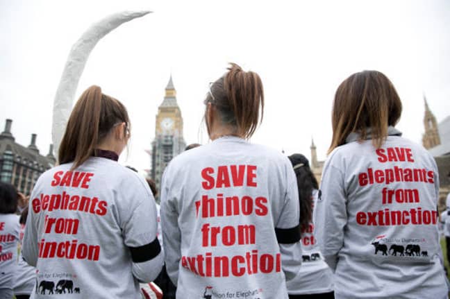 Hundreds of activists from Action for Elephants UK stage a silent protest at Parliament Square, London, to raise awareness of the poaching crisis. Credit: PA