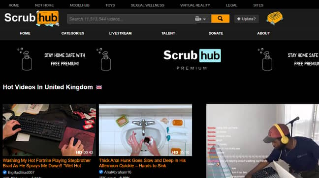 Some of examples of what Scrubhub has to offer. Credit: Pornhub