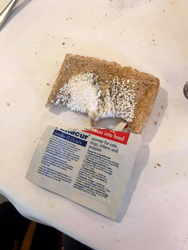 The dog worming powder is sprinkled on toast. Credit: Caters 