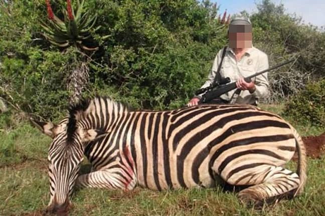 Pictures of British trophy hunters posing alongside dead zebras have been shared on social media. Credit: Facebook