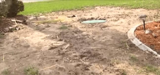 Burnt grass outside their home. Credit: WINK News
