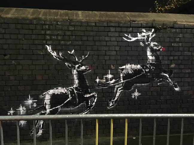 Someone appears to have added red noses to the reindeers overnight. Credit: Caters