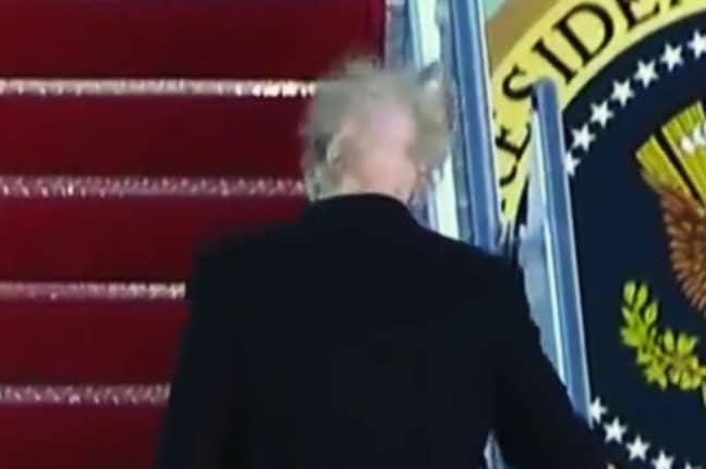 Donald Trump's hair is blown in the wind
