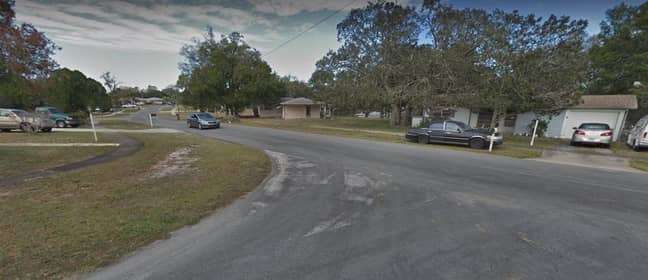 The incident is said to have happened o Tarrytown Drive in Spring Hill, Florida. Credit: Google Maps