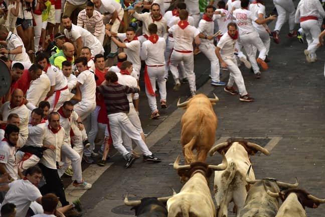 Bull running, Pamplona