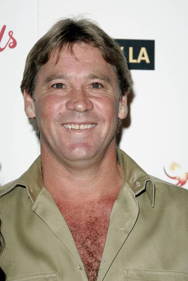 The late and great Steve Irwin. Credit: Alamy