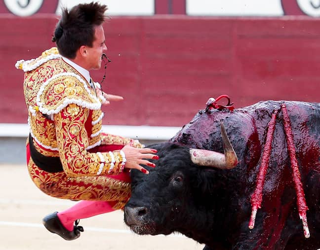 Matador Gonzalo Caballero was treated at the bullring's infirmary before being moved to hospital. Credit: Shutterstock