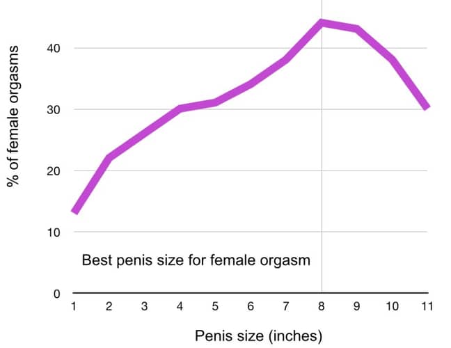 ingenieur Bondgenoot Bestudeer Best Penis Size To Make A Woman Orgasm Revealed By Study