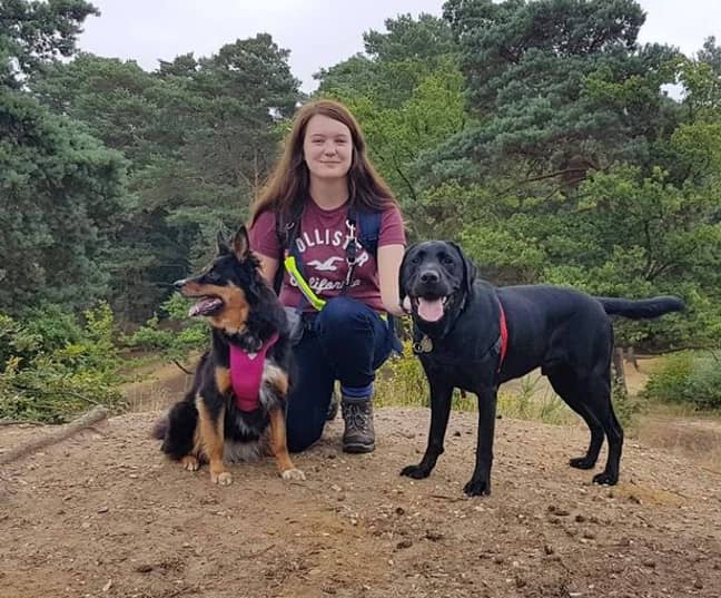 Megan Taylor with Ruby and Rowley who are Disability Assistance Dogs. Credit: Liverpool Echo