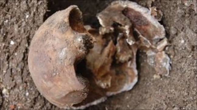 David Attenborough discovered a skull from a 19th century murder in his garden ' Credit: BBC