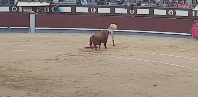 Didn't miss, that's for sure. Credit: France 3 Occitanie