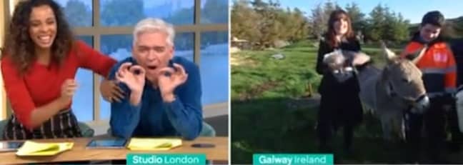 Orla and the donkey in a field in Galway as Phillip Schofield and Rochelle Humes. Credit: ITV/This Morning