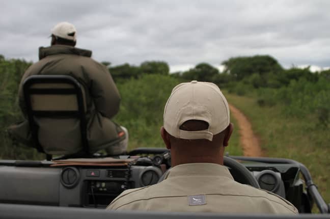 Scouts look for white rhinoceros in the Phinda Private Game Reserve in South Africa. Credit: PA