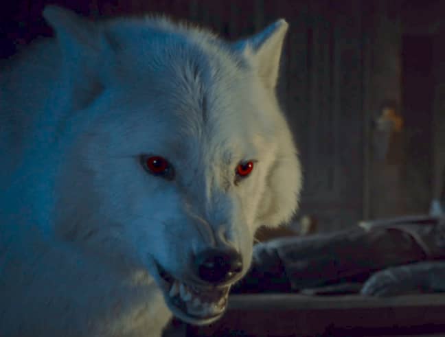 'Game Of Thrones' Director Answers Season 8 Questions Saying Who Lives Credit: HBO