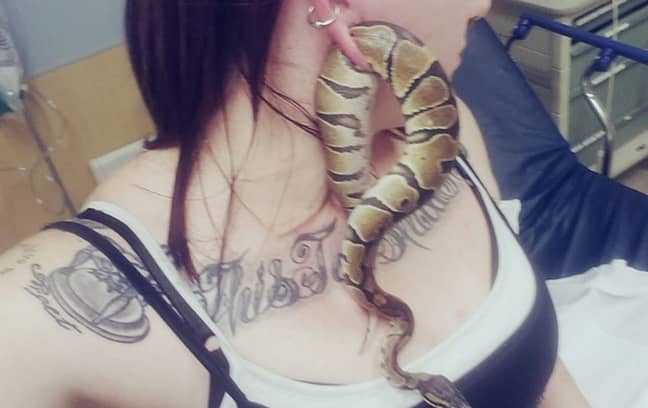 The woman ended up having a snake stuck in her outstretched ear.