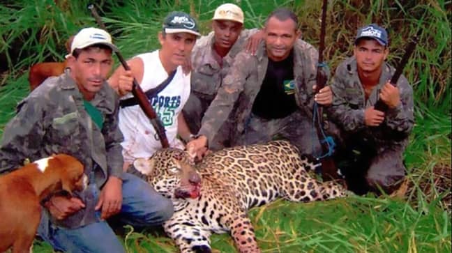 The poachers with a killed jaguar. Credit: CEN