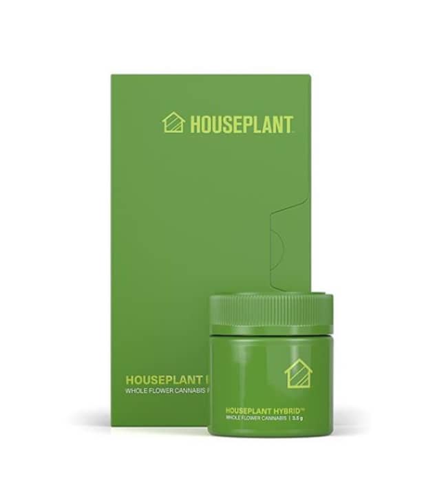 A prototype of what the Houseplant product could look like. Credit: Instagram