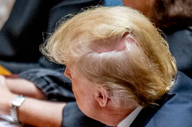 A lot of time has gone into making Trump's hair as it is. Credit: PA