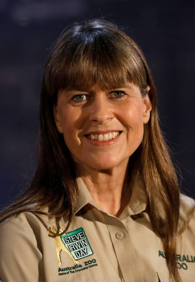 Terri Irwin has opened up about her love life 15 years on from her husband Steve's death. Credit: Alamy