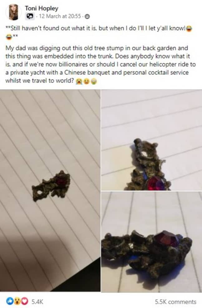 Toni Hopley updates her Facebook followers about the gem she discovered in her back garden. Credit: Deadline News