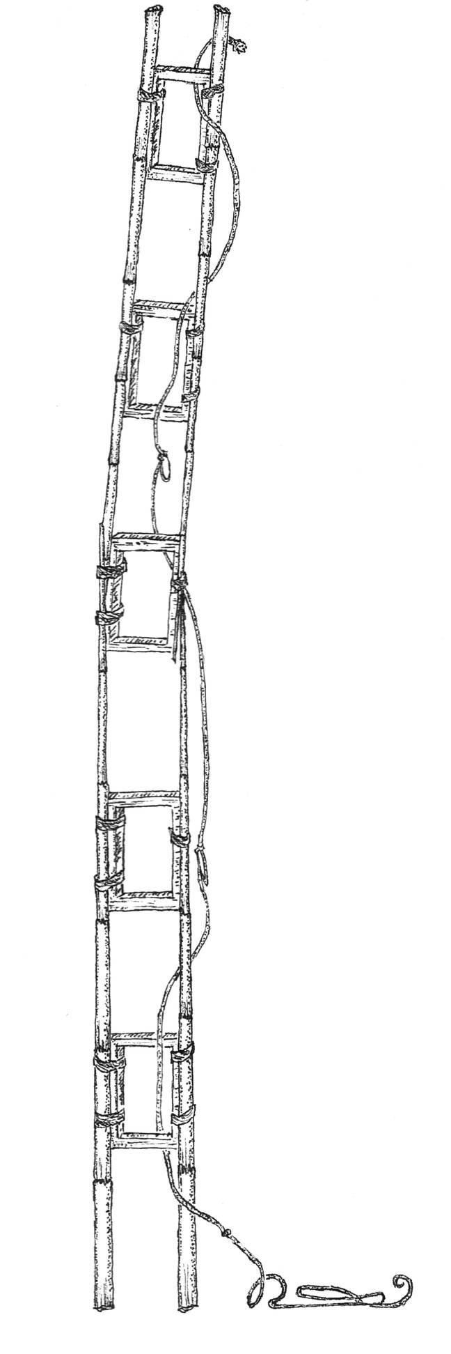 Design for the bamboo ladder McMillan used. Credit: David McMillan/Supplied