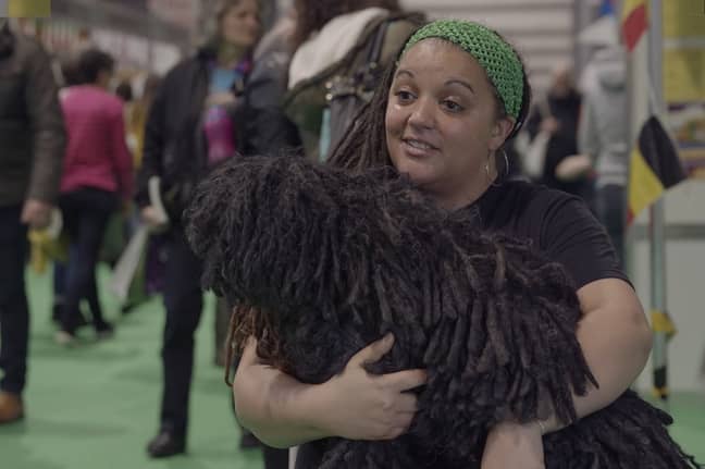 The pair are at Crufts this year. Credit: Kennedy News and Media