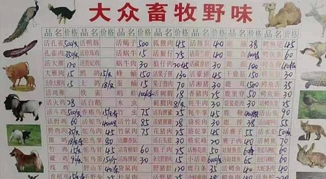 This is a price list from the Huanan Seafood Market and one of the items is said to be 'koala' or 'live tree bears'. 