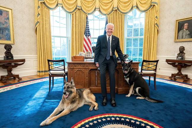 Current US President, Joe Biden. Credit: Alamy