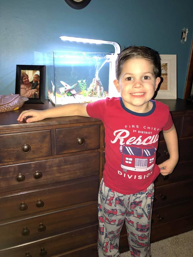 Tori and Cory have bought the four-year-old some new fish. Credit: Kennedy News and Media