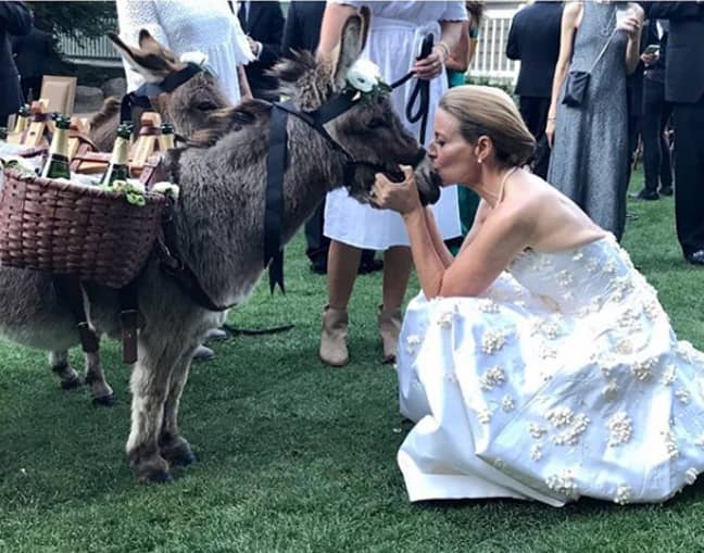 The perfect addition to any wedding, right? Credit: Little Burro Events/Instagram