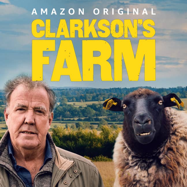 Clarkson + sheep = good TV. Credit: Amazon Prime Video