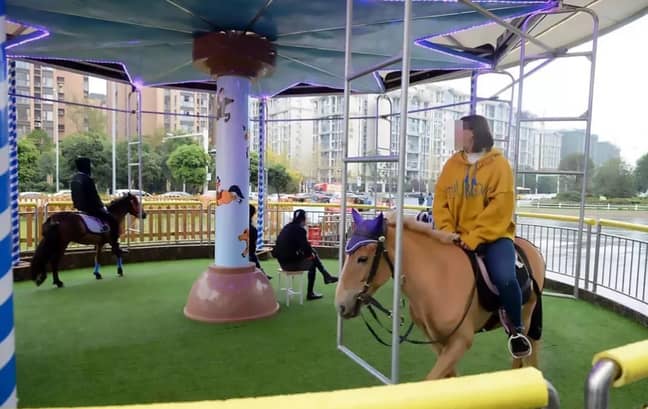The merry-go-round's operator said it's 'not animal cruelty'. Credit: AsiaWire 