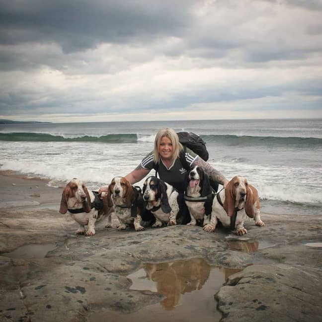 Sara has five basset hounds - only one has ever found a massive dildo. Credit: Kennedy News and Media