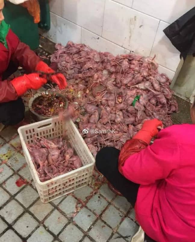 Two workers were pictured skinning rodents at the now closed wet market. Credit: Weibo