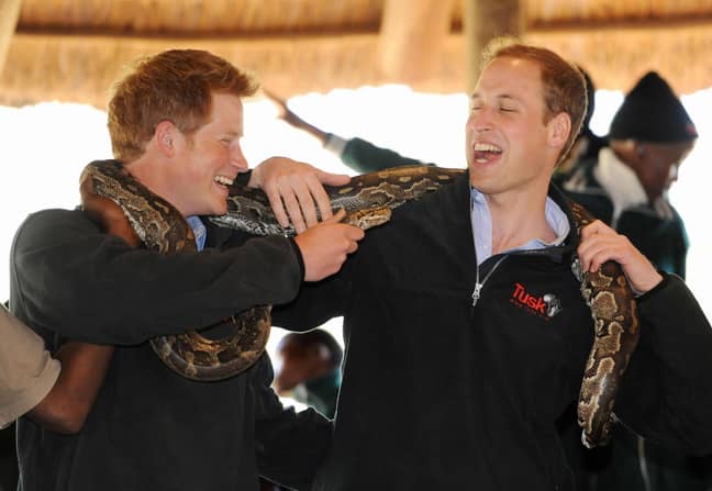 Harry and William in 2010. Credit: PA