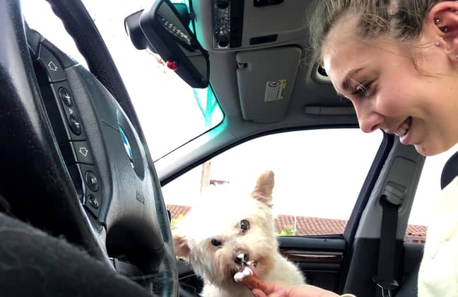 Gizmo with Kira in the car enjoying his last treats. Credit: Kennedy News and Media