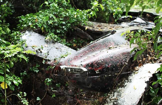 The car had been left to perish for almost 30 years. Credit: E-Type UK