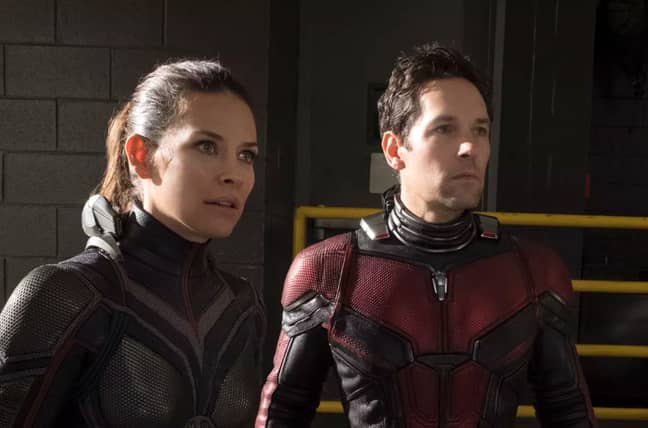 Could a third Ant-Man film be in the pipeline? Credit: Walt Disney Studios