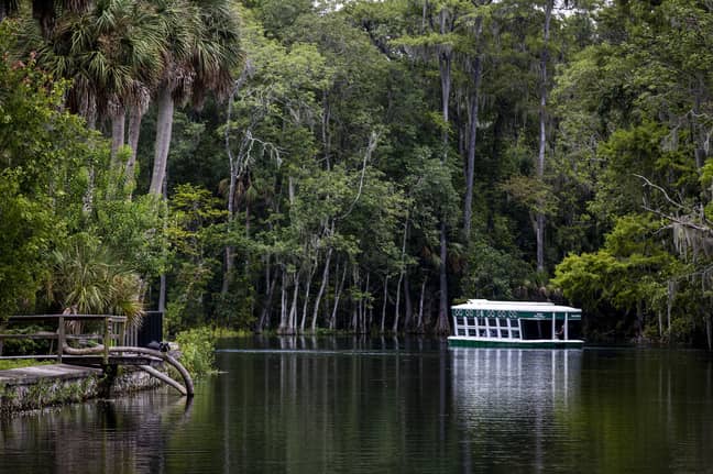 Silver Springs State Park is a popular Florida attraction. Credit: PA