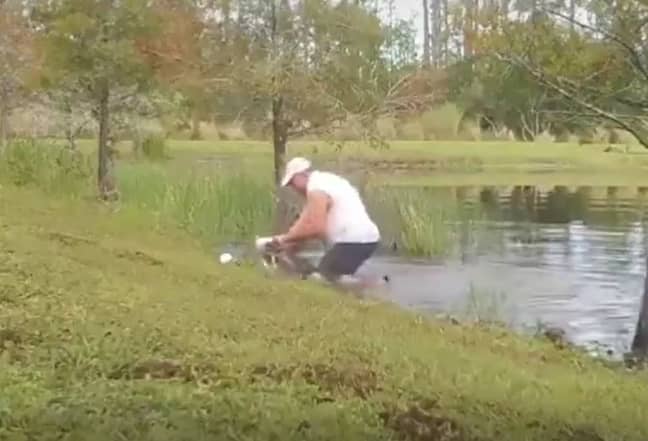 The owner dived in the water to save his dog from the alligator. Credit: TikTok/Melissa Chipps