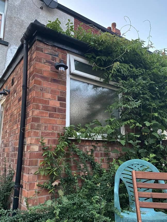 Sarah didn't think the neighbour would be able to see her through the window - understandably. Credit: MEN Media