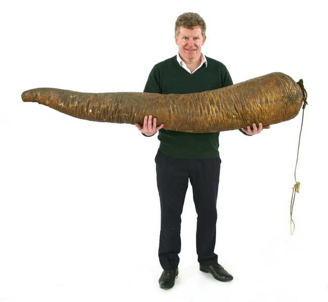 The huge sperm whale penis was snapped up by an anonymous buyer for £4,600 at auction. Credit: SWNS