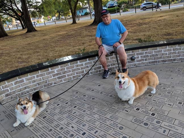 Charlie presumably loves his corgis too. Credit: Kennedy News and Media