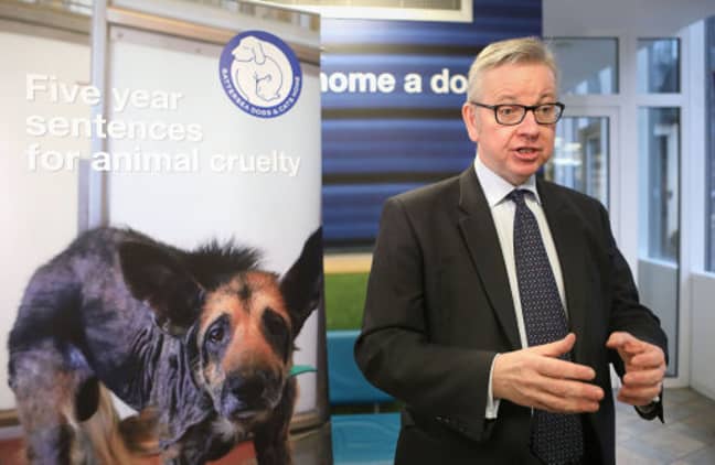 Michael Gove announces maximum five year sentences for animal abusers. Credit: PA